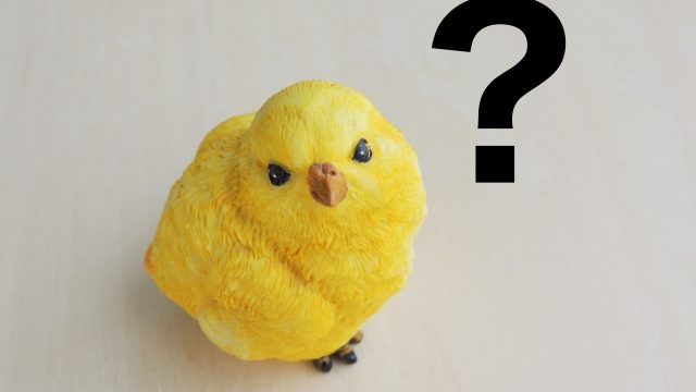 インコハテナ