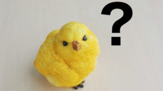 インコハテナ