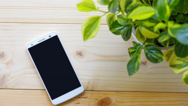 スマホ写真